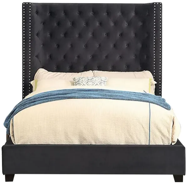 Gok California King Bed with Nailhead Trim, Tufted Gray Velvet Upholstery - Benzara