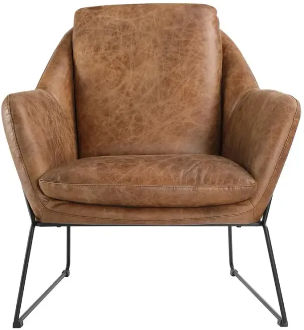 Sleek Modern Club Chair - Greer Collection, Belen Kox