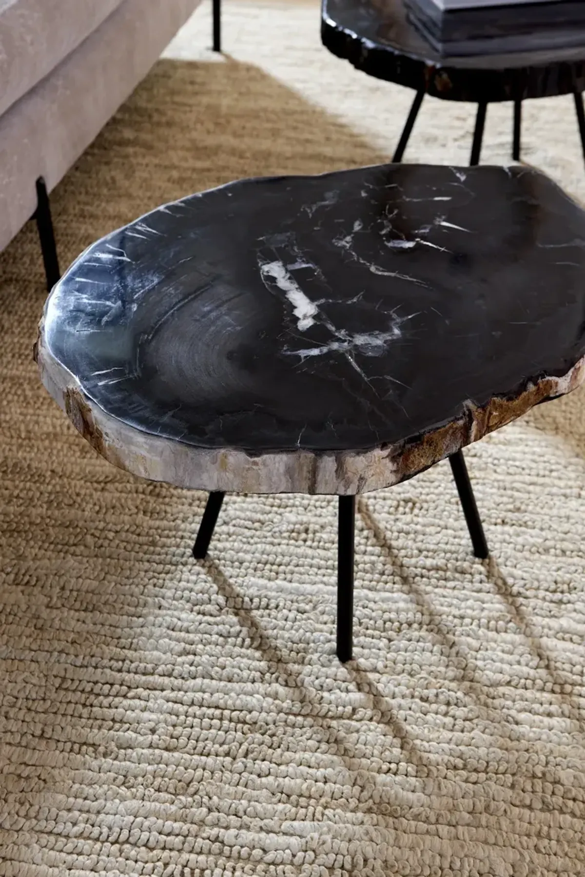 Petrified Coffee Table