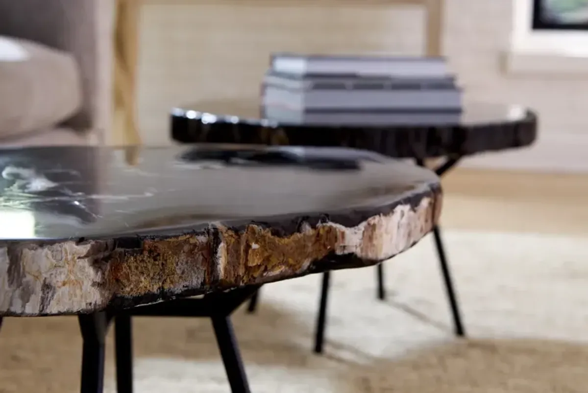 Petrified Coffee Table