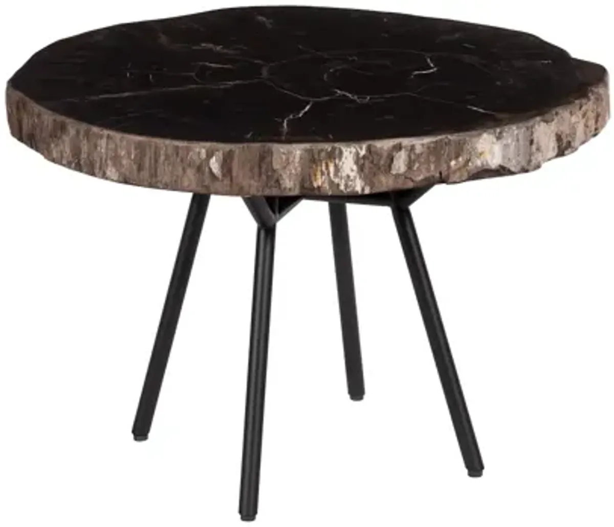 Petrified Coffee Table