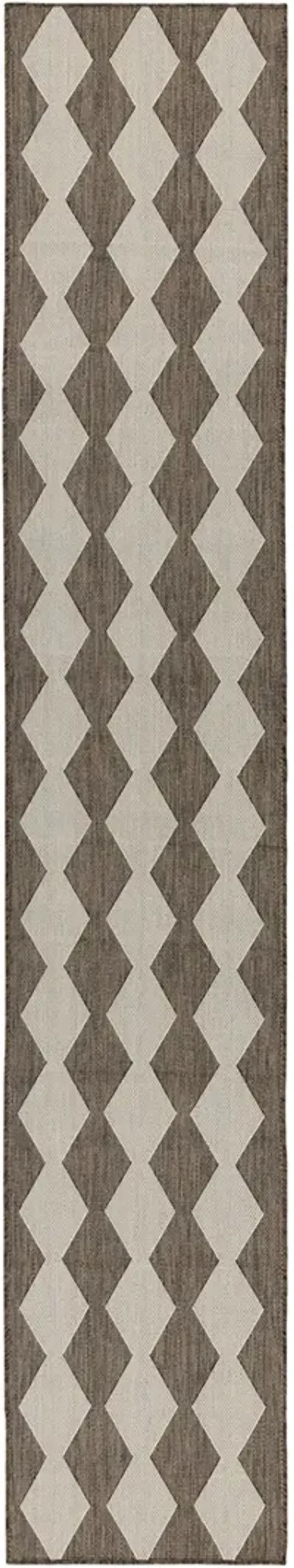 Positano POS04 Natural 2'2" x 8' Rug