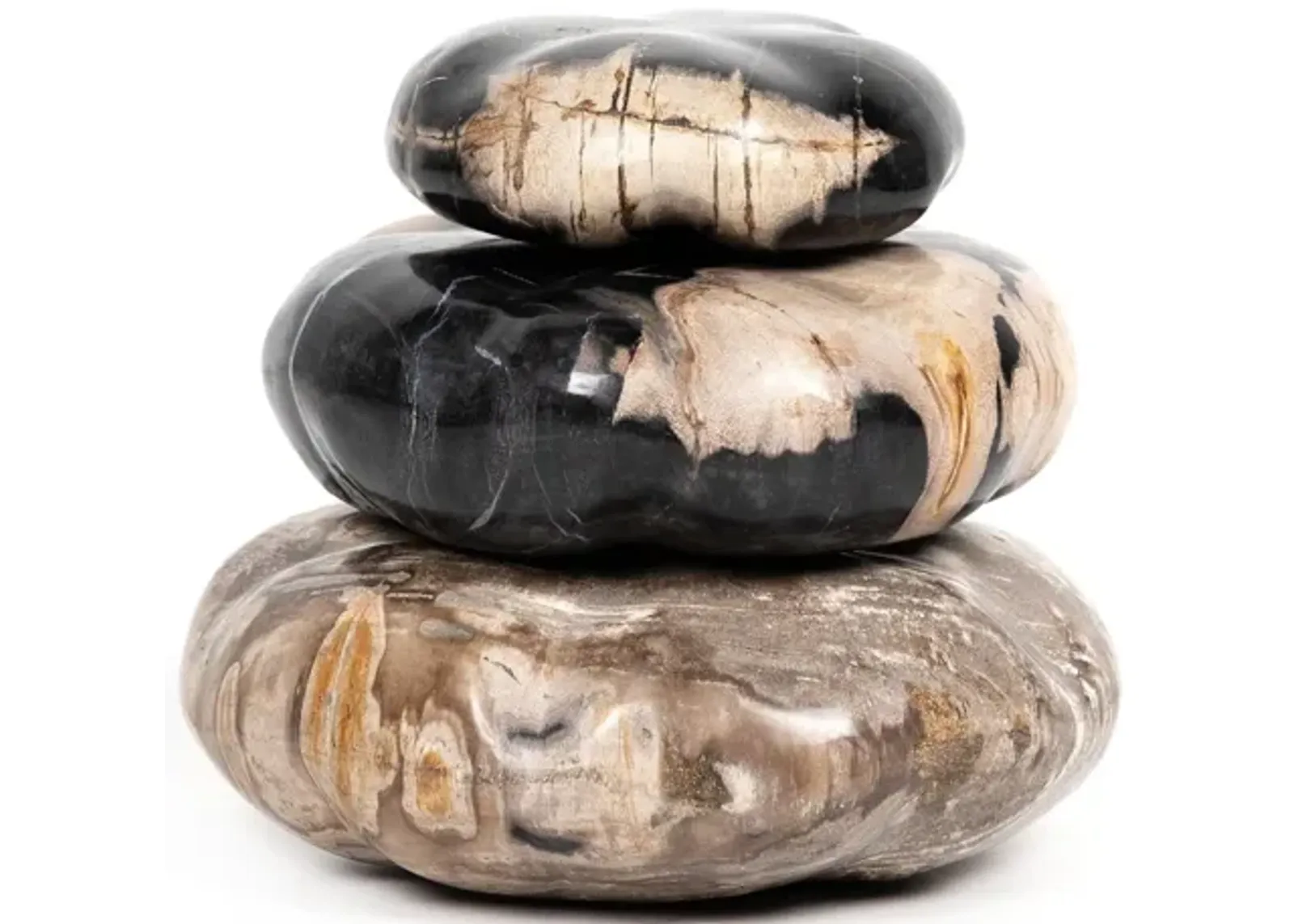 Petrified Wood Sculpture