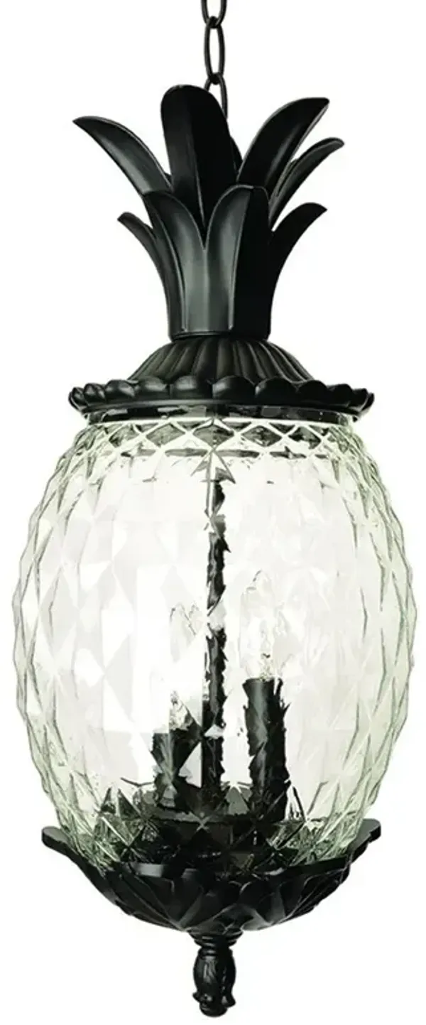 Hivvago Lanai 3-Light Black Coral Hanging Light