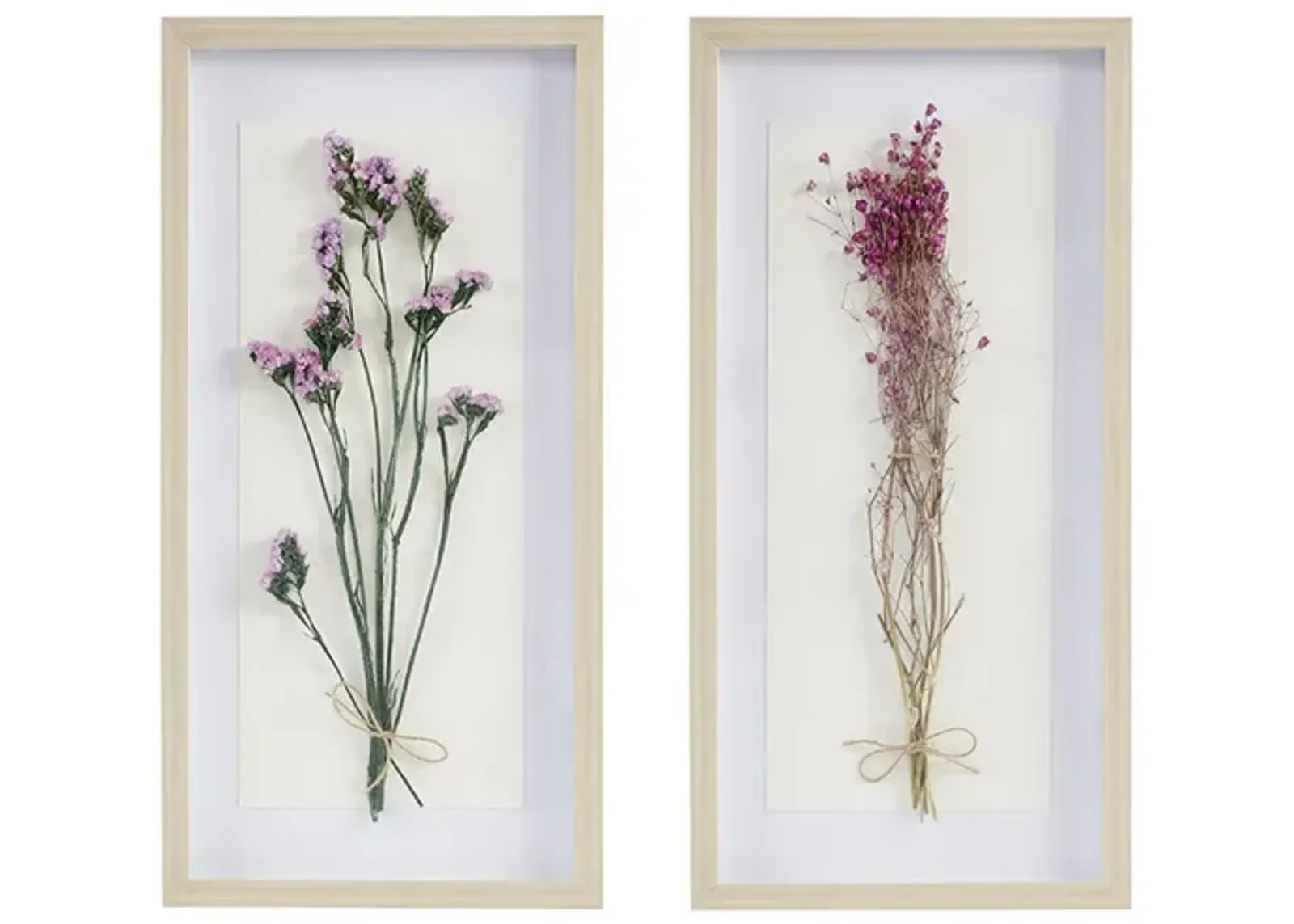 Avant Garden Dried Flower 2-Piece Shadow Box Wall Decor Set