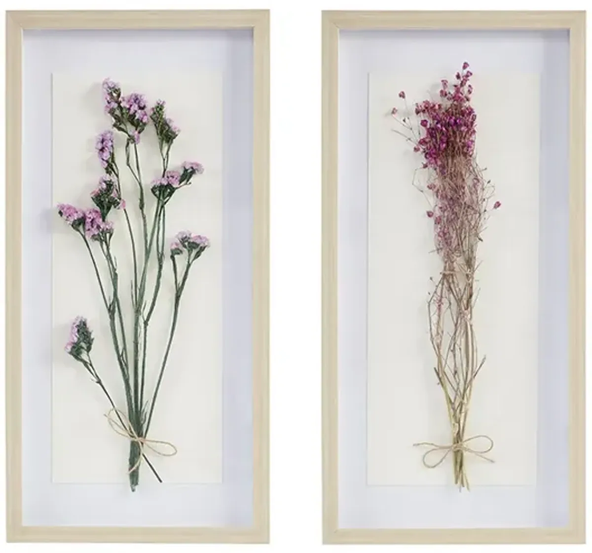 Avant Garden Dried Flower 2-Piece Shadow Box Wall Decor Set