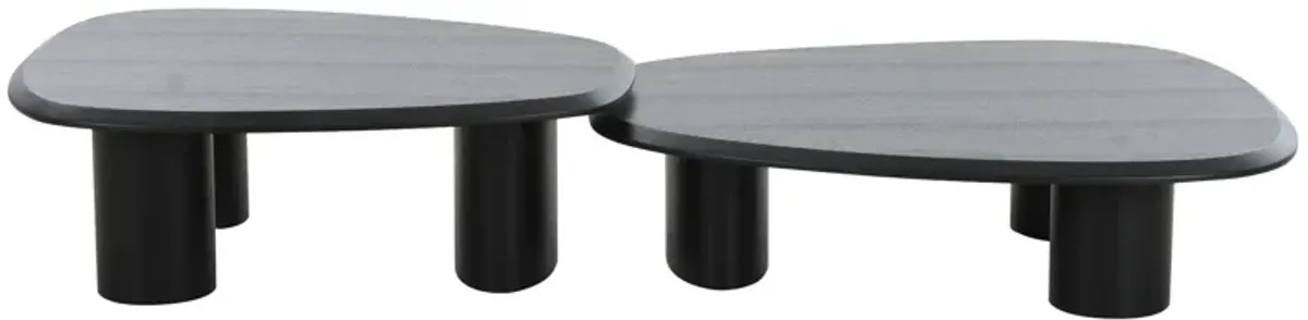 Cid Sami Coffee Table, Set of 2, Freeform Shape, Black Solid Wood Frame - Benzara