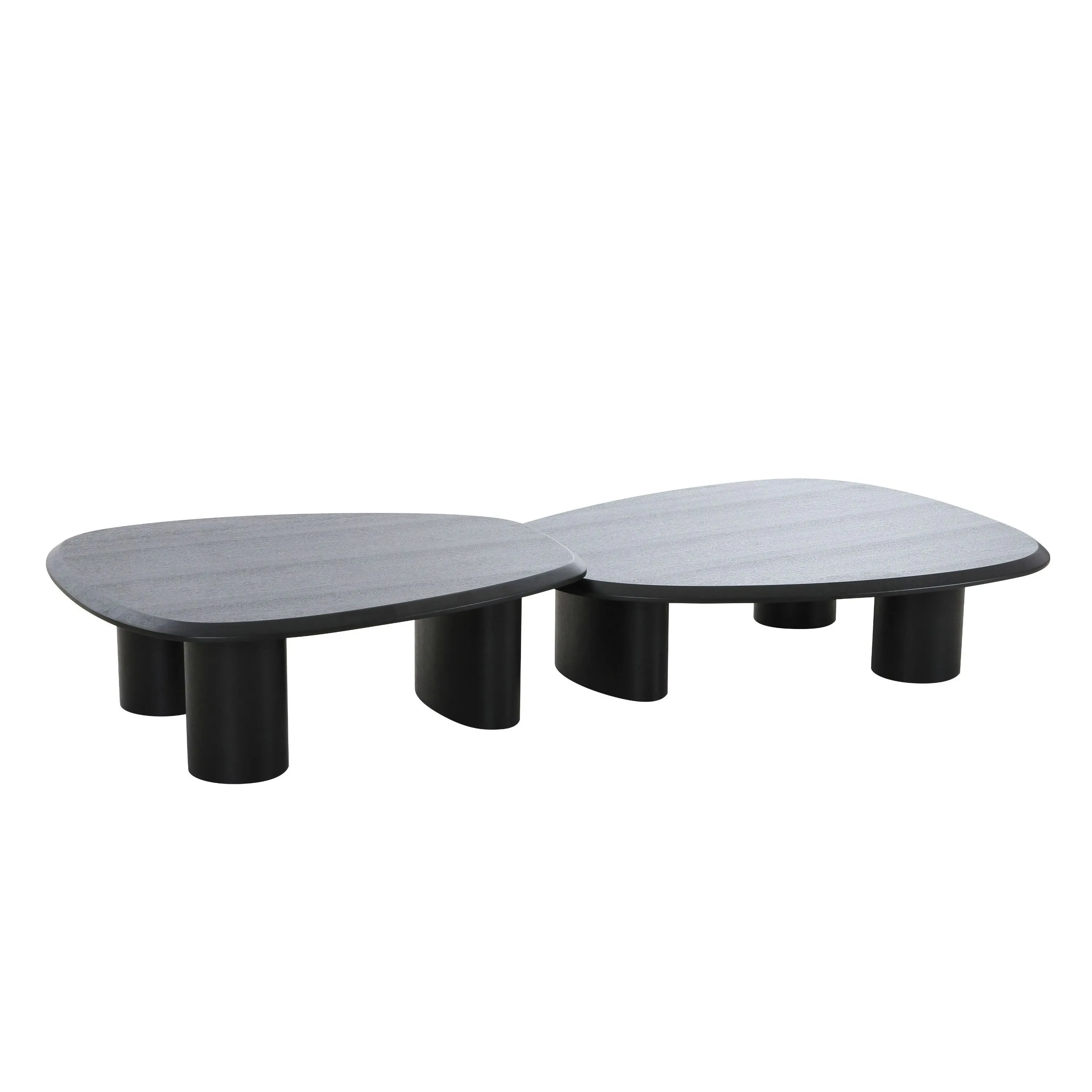 Cid Sami Coffee Table, Set of 2, Freeform Shape, Black Solid Wood Frame - Benzara