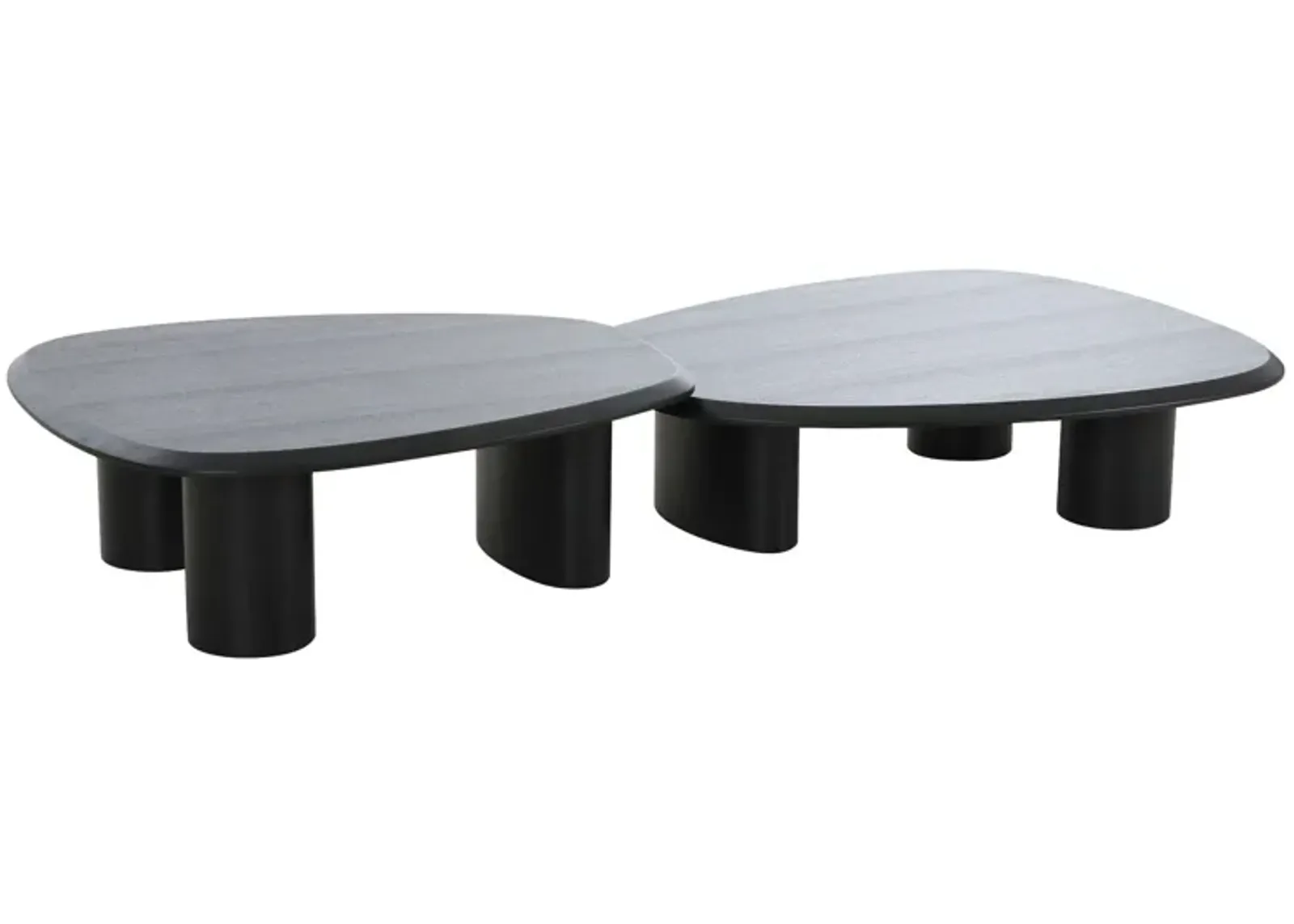 Cid Sami Coffee Table, Set of 2, Freeform Shape, Black Solid Wood Frame - Benzara