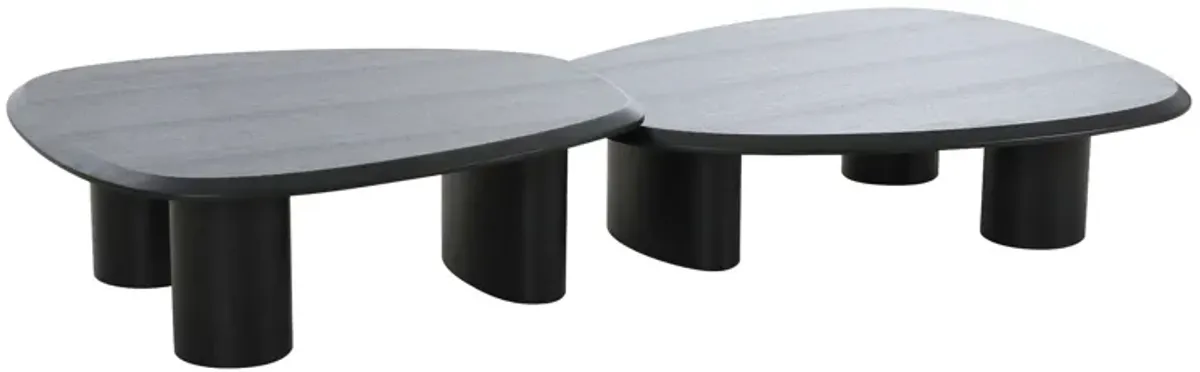 Cid Sami Coffee Table, Set of 2, Freeform Shape, Black Solid Wood Frame - Benzara