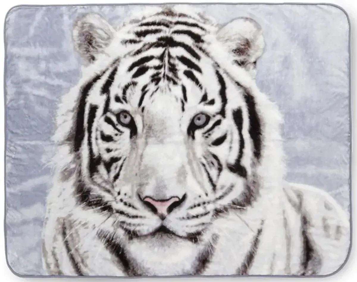 Shavel Hi Pile High Quality Luxurious And Incredibly Soft Warm Snuggly Throw Jumbo 60x80" - White Tiger