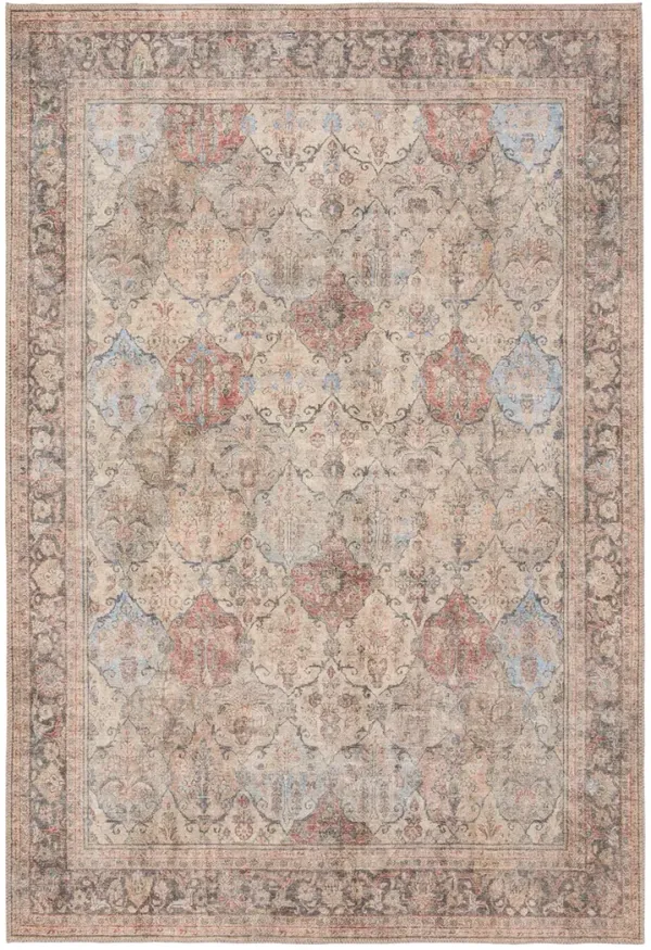 Toreth Garcia 4'x6' Rug
