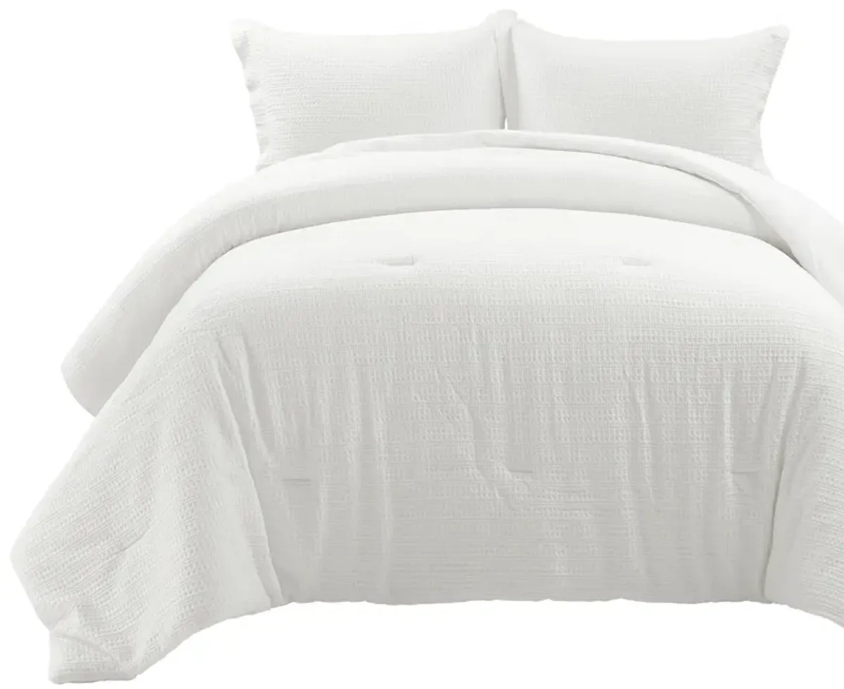 Haniya Solid Waffle Woven Cotton Textured Comforter 3-Pc Set