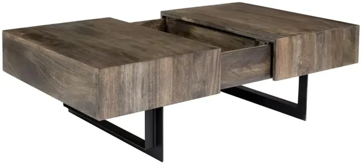 Moe's Home Collection Tiburon Storage Coffee Table, Natural