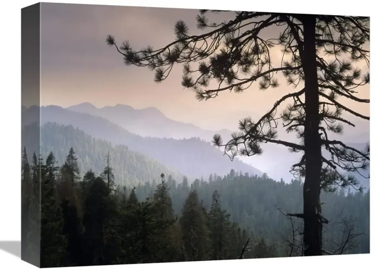 View over foothills to the west from Kings Canyon National Park, California-Canvas Art-16x12