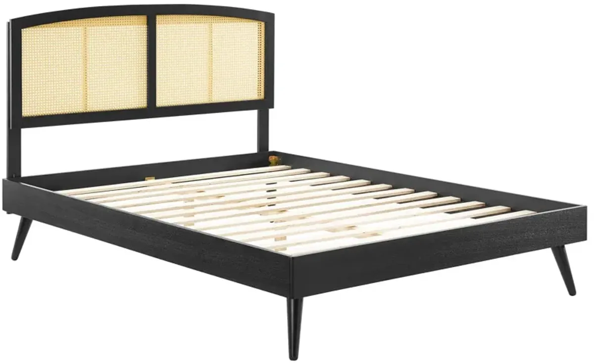 Modway - Sierra Cane and Wood King Platform Bed with Splayed Legs