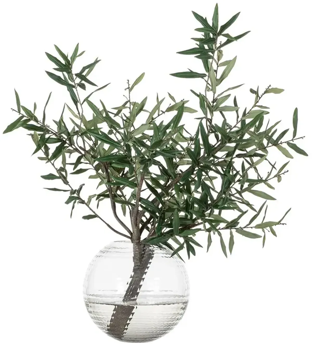 Olive Branch in Round Glass Vase