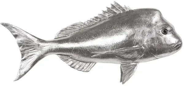 Australian Snapper Wall Sculpture