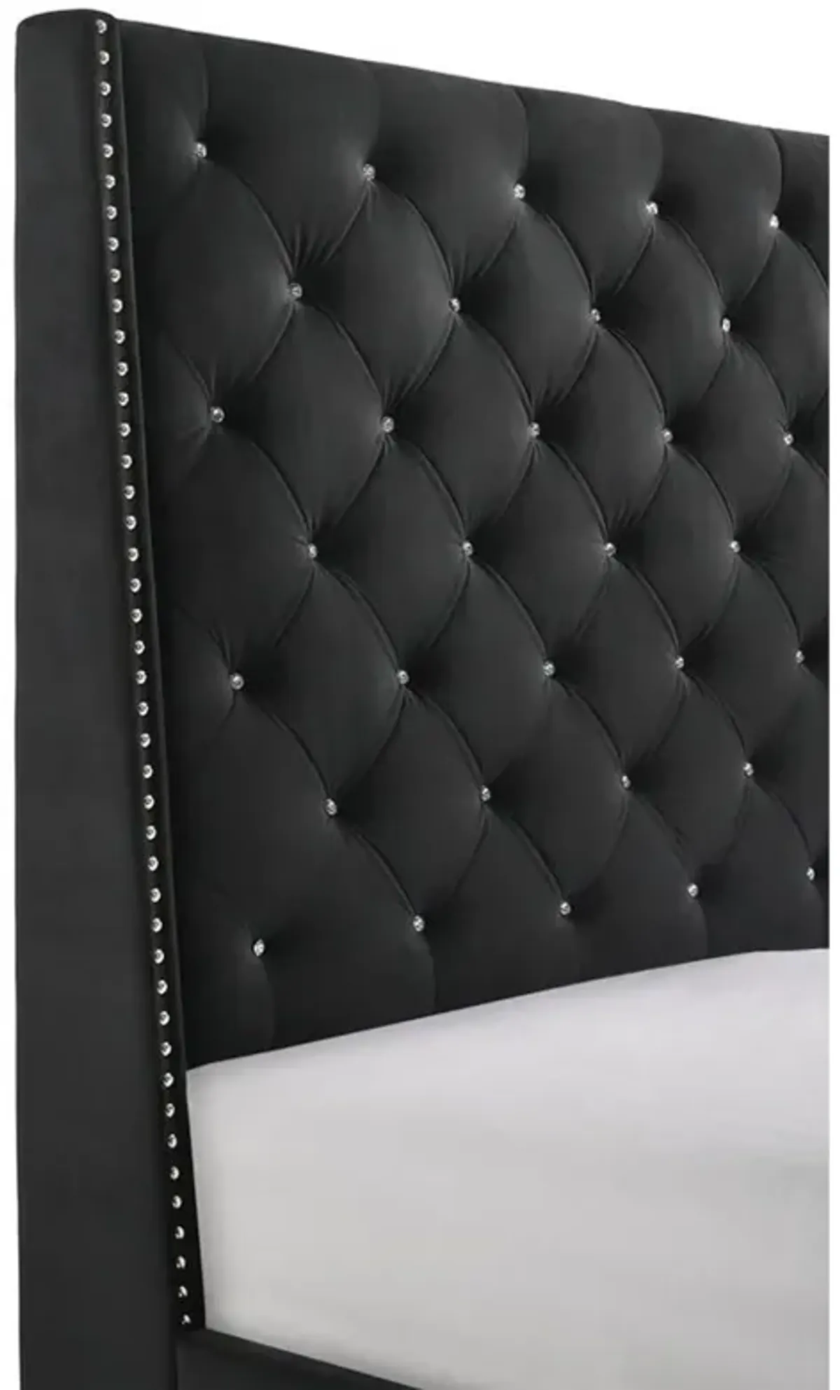 Benjara Maze Queen Size Bed, Button Tufted, Nailhead Trim, Black Fabric Upholstery