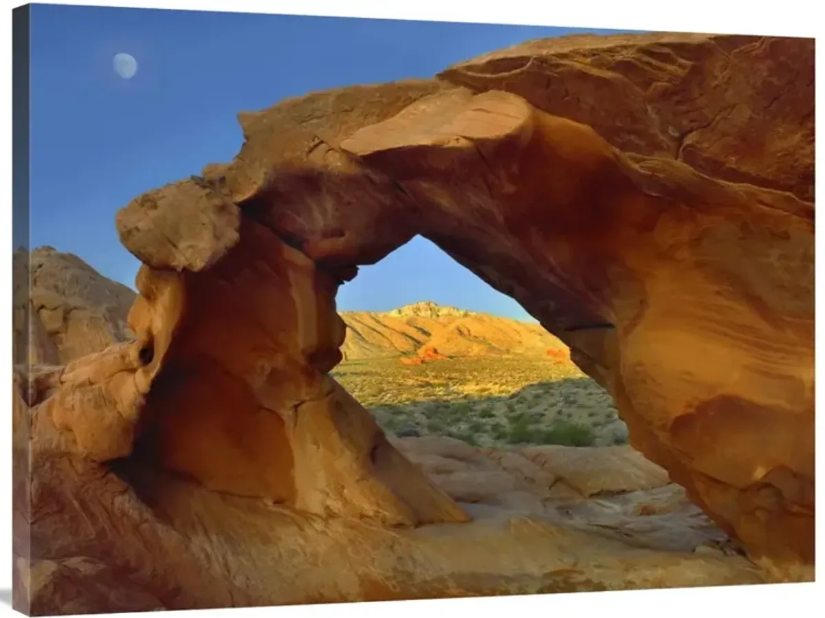 Arch Rock and moon, Valley of Fire State Park, Nevada-Canvas Art-40x30