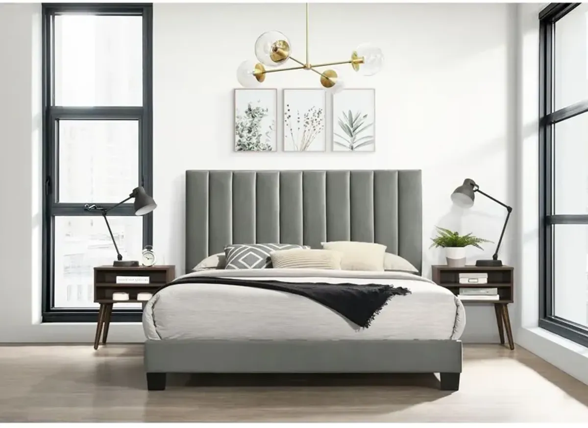 Coyote Queen Bed With Mattress And Low Profile Box Spring