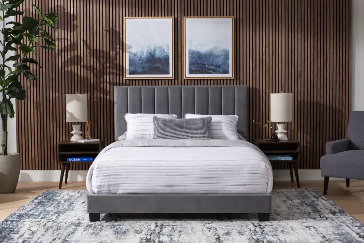 Coyote Queen Bed with Mattress and Low Profile Box Spring