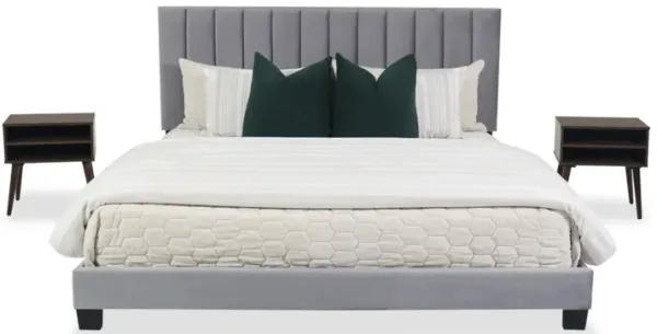 Coyote Queen Bed with Mattress and Low Profile Box Spring