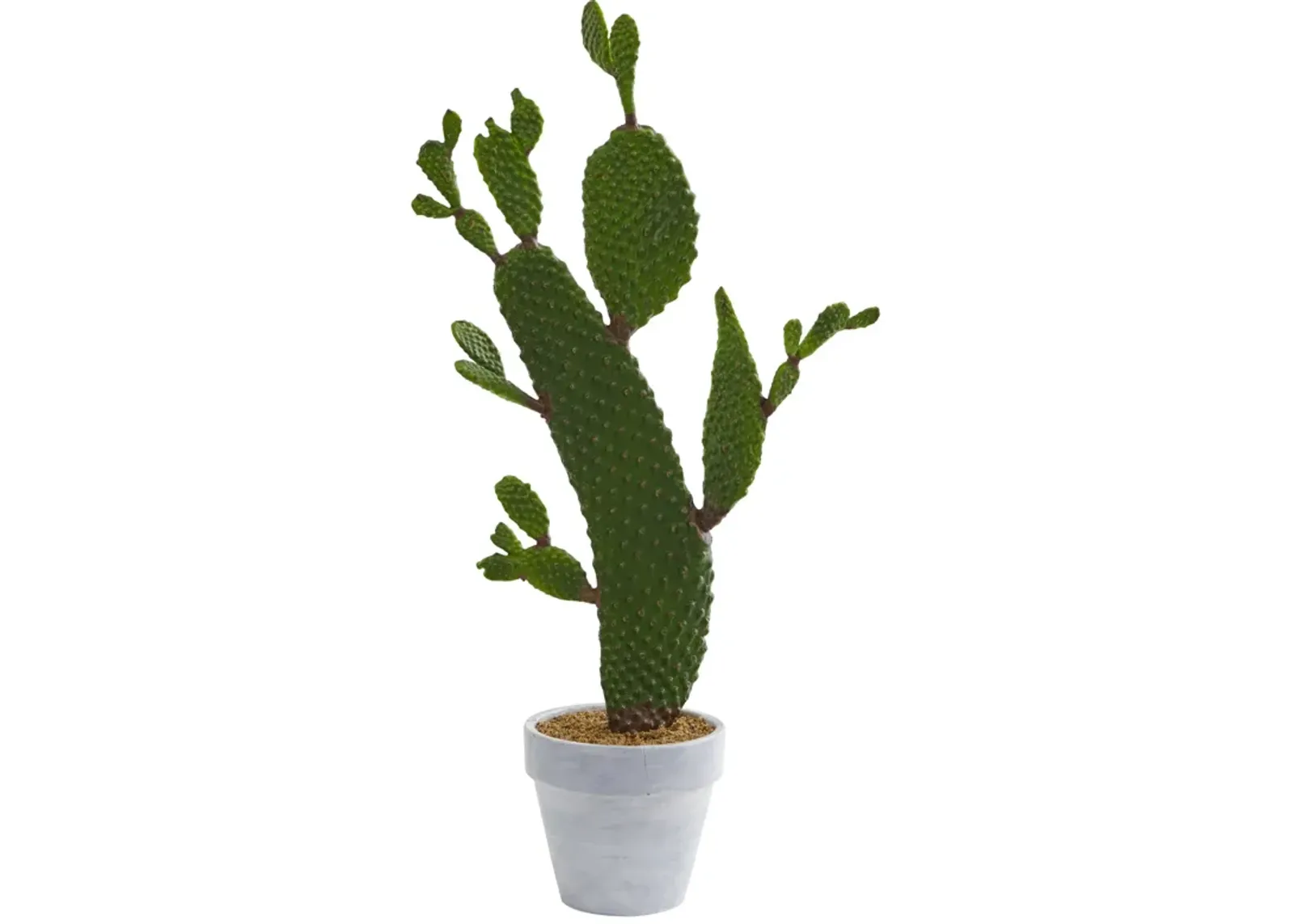 HomPlanti 27" Cactus Artificial Plant