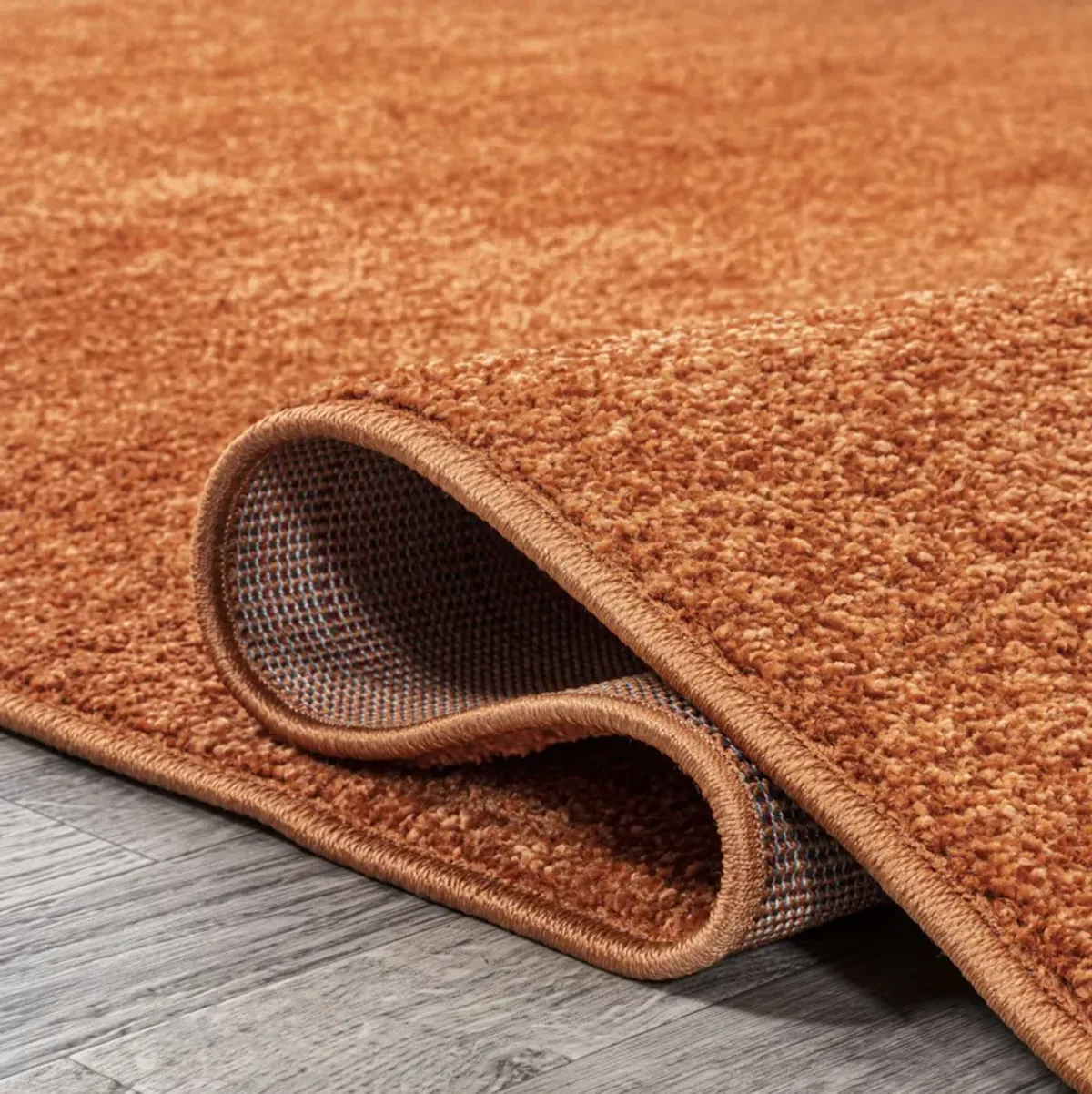 Haze Solid Low-Pile Area Rug