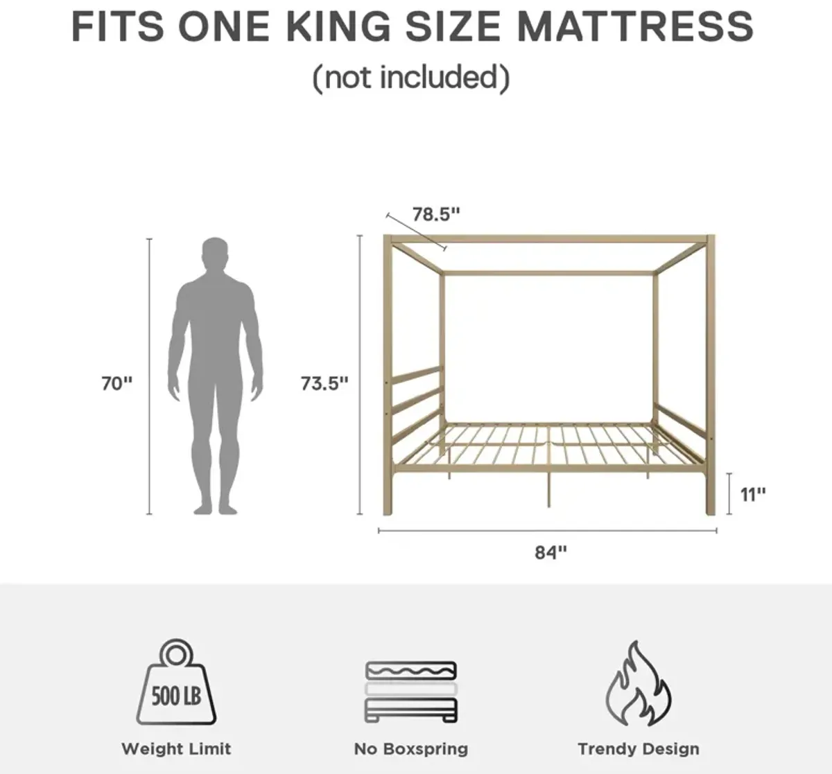 Modern Canopy Metal Bed, King, Gold