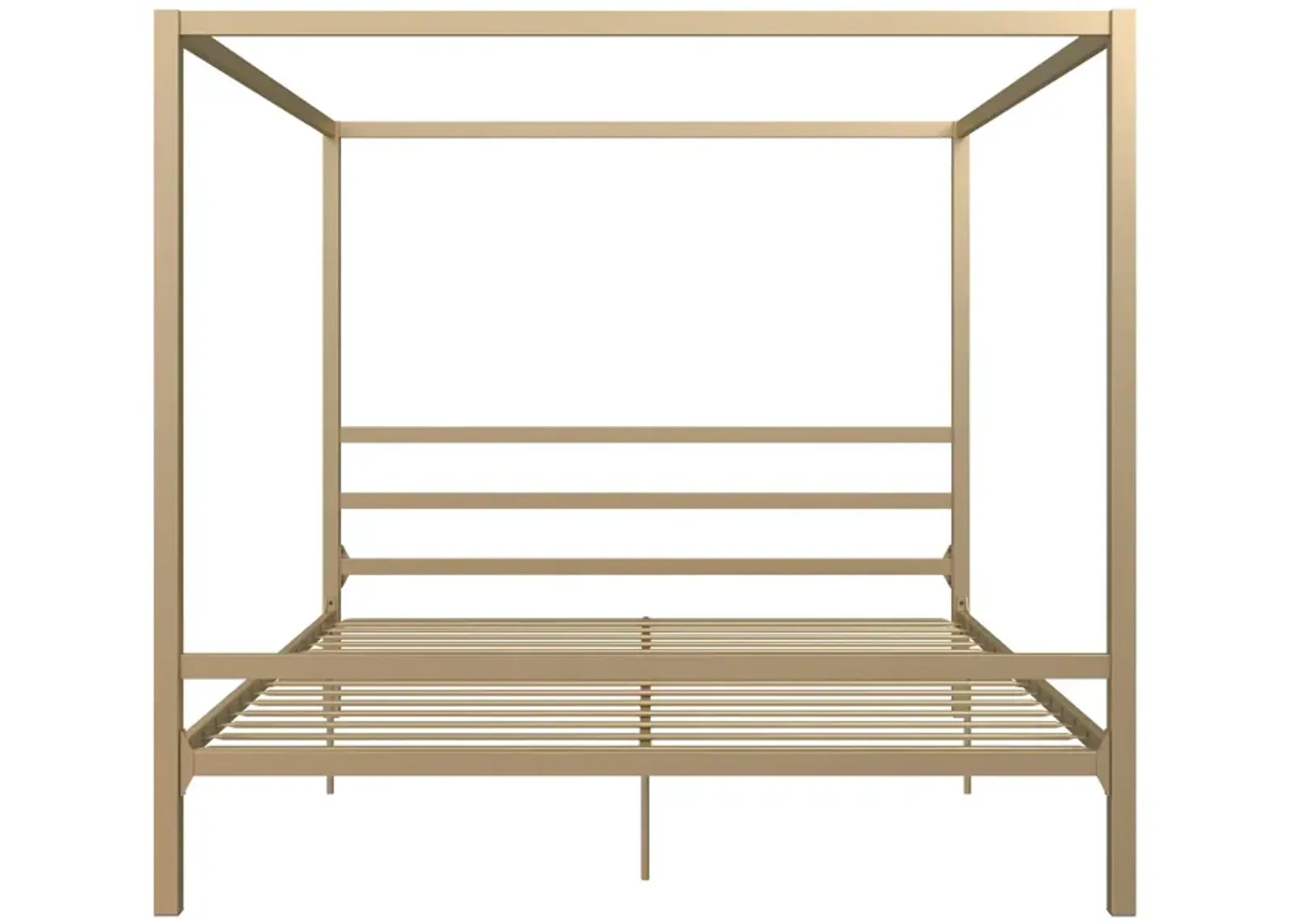 Modern Canopy Metal Bed, King, Gold