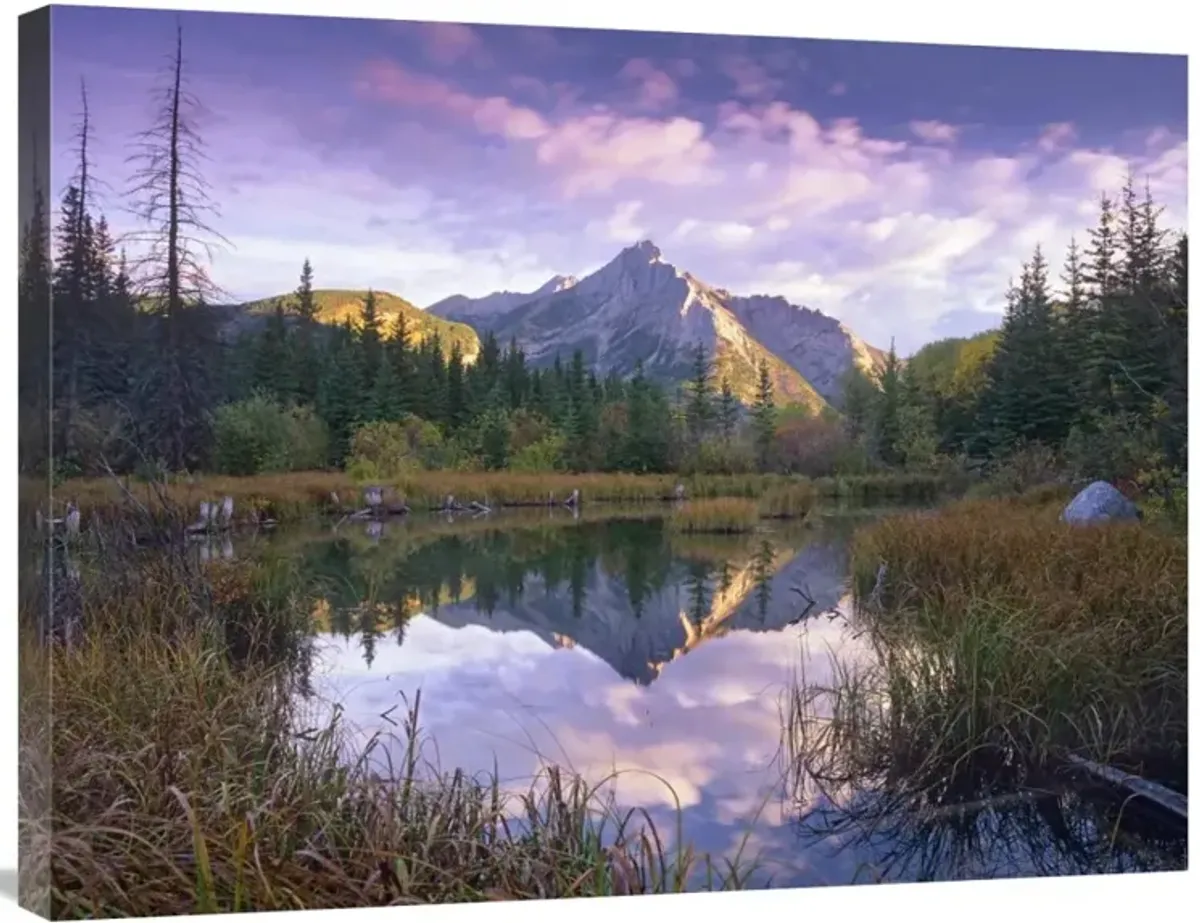 Mount Lorette and spruce trees reflected in lake, Alberta, Canada-Canvas Art-32x24