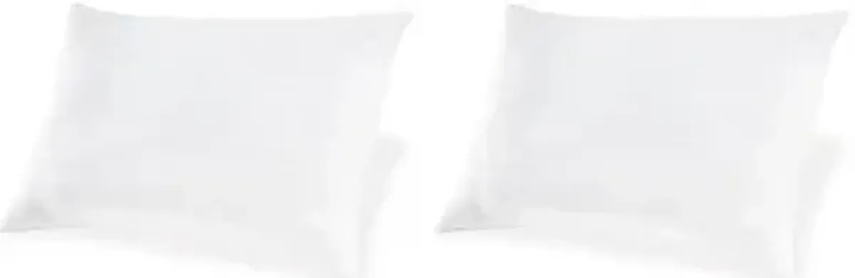 Zephyr 2.0 Pillow (Set of 2)