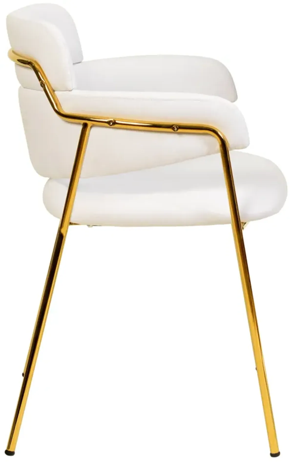 Axis Upholstered Dining Chairs Curved Open-Back & Gold Legs Set of 2 in