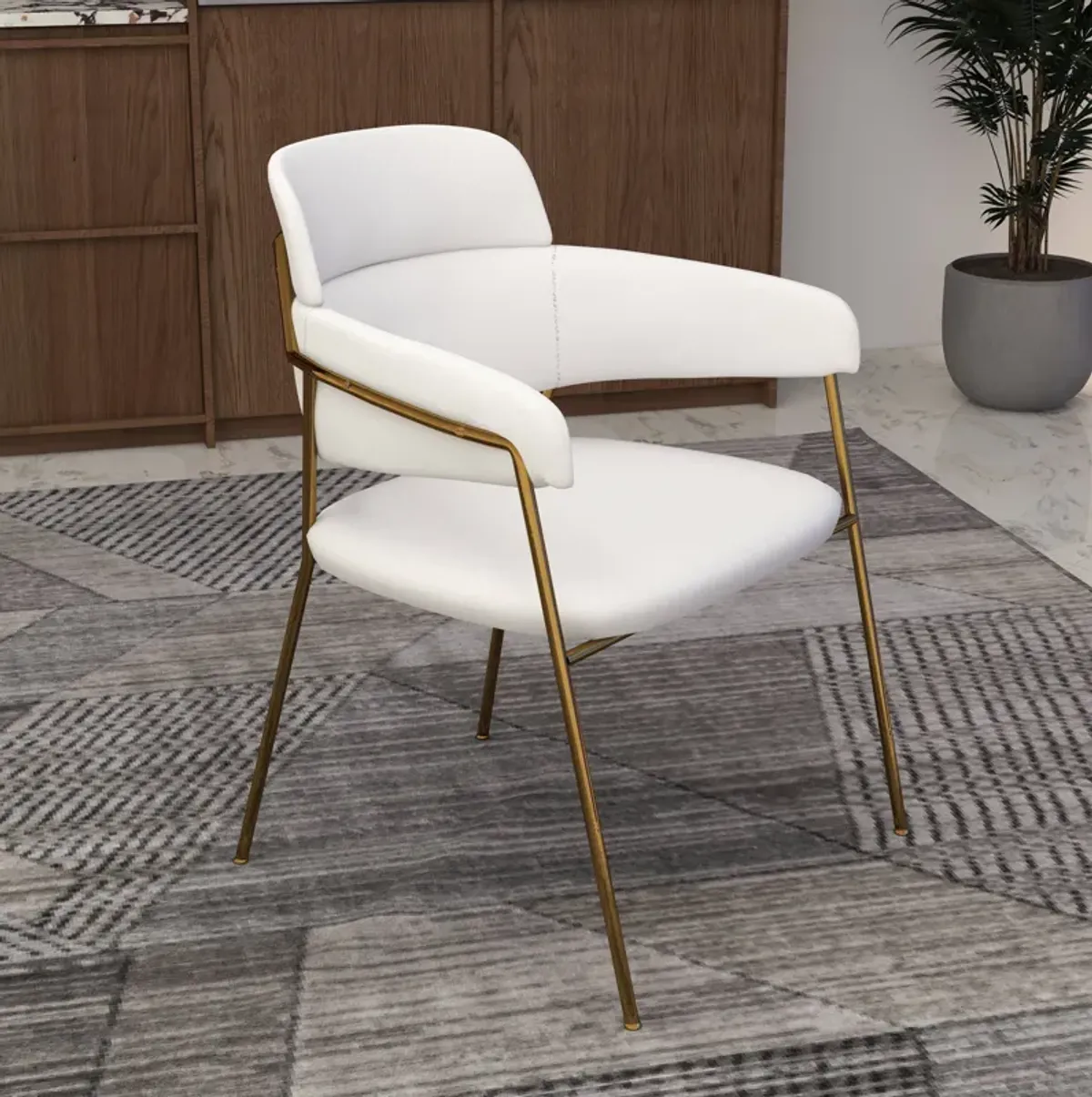 Axis Upholstered Dining Chairs Curved Open-Back & Gold Legs Set of 2 in