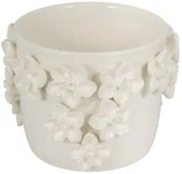 Ivory color