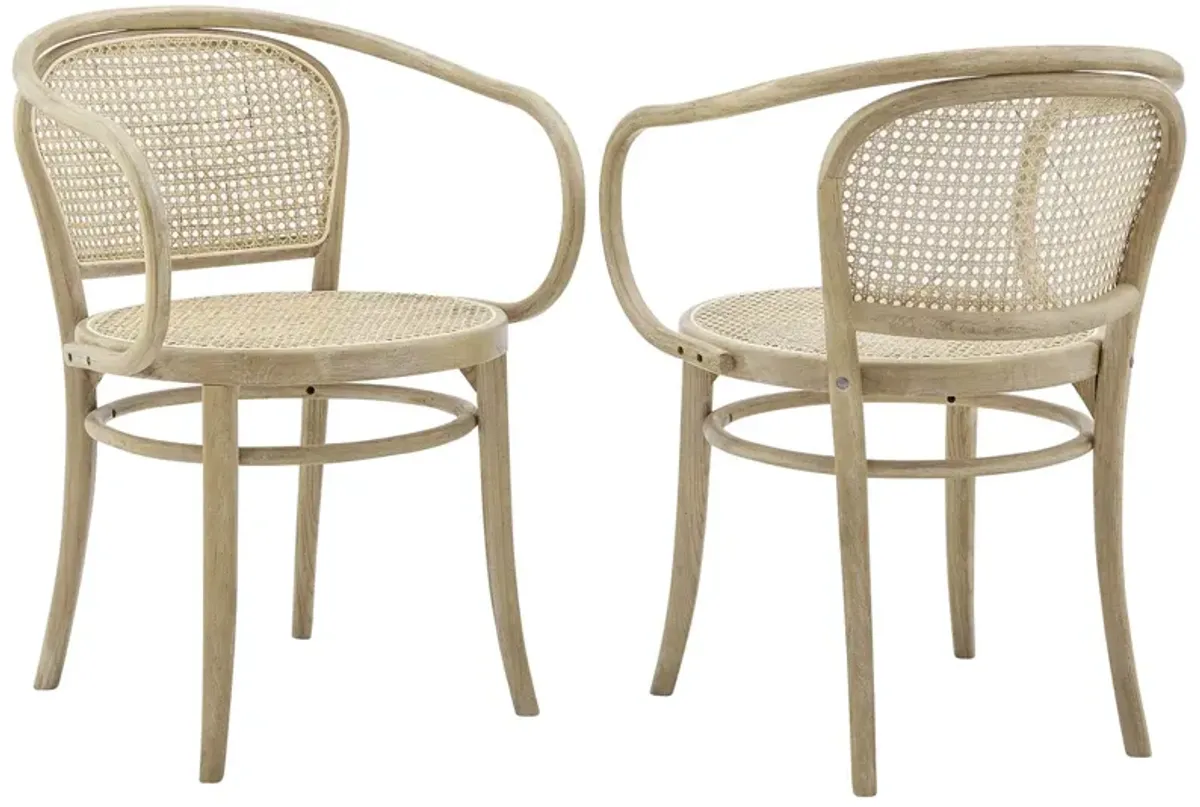 Oliana Wood Dining Armchair Set of 2