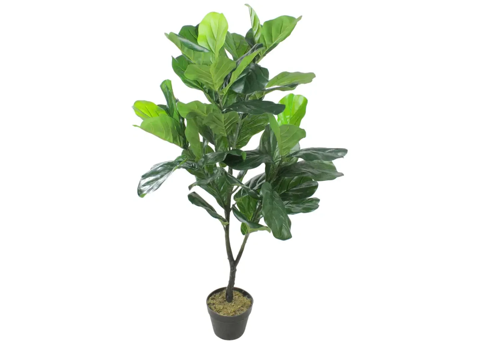 4' Potted Two Tone Green Artificial Wide Fiddle Leaf Fig Tree