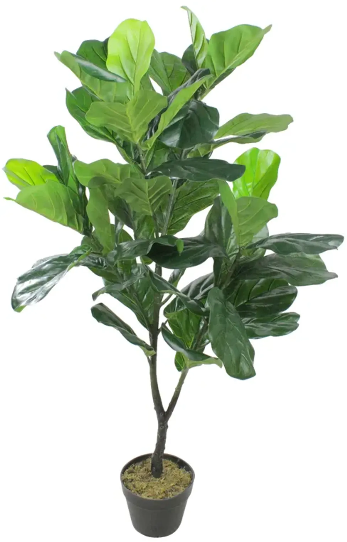 4' Potted Two Tone Green Artificial Wide Fiddle Leaf Fig Tree