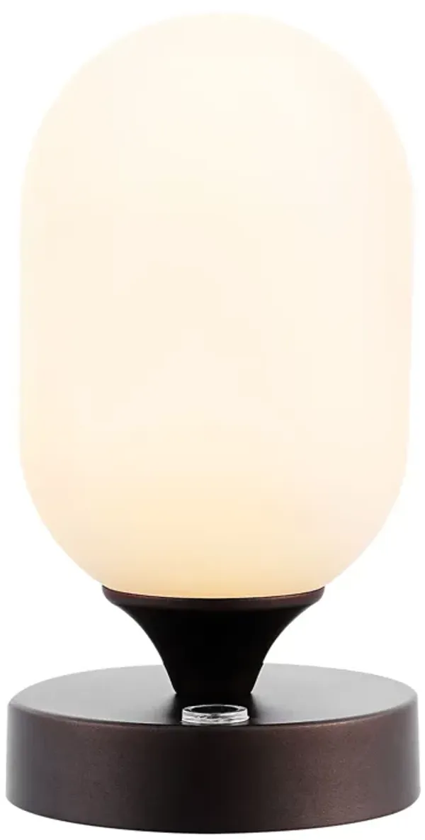 Eli Bohemian Farmhouse Iron Rechargeable Integrated LED Table Lamp