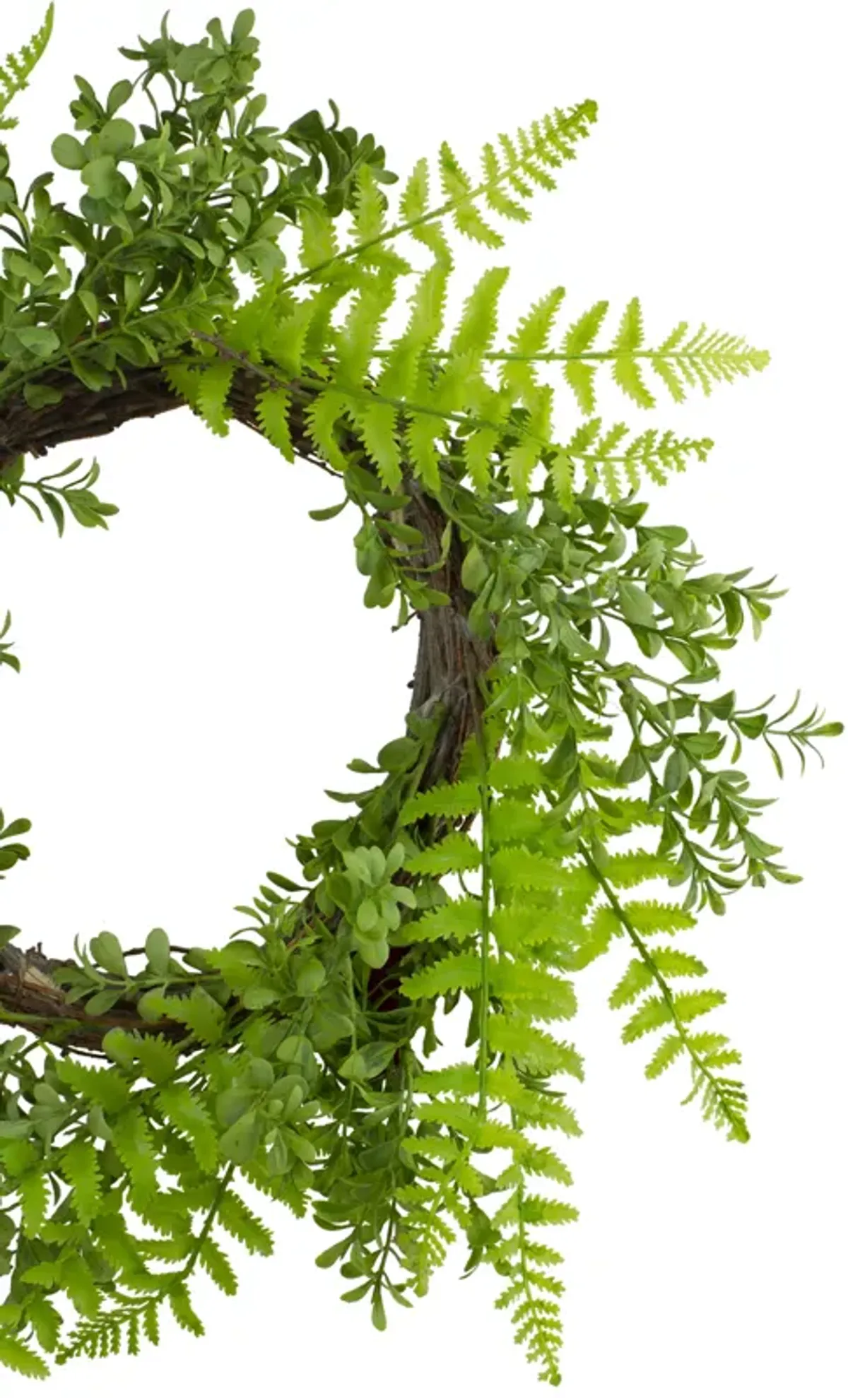 Fern Leaf Artificial Springtime Wreath  Green - 18-Inch