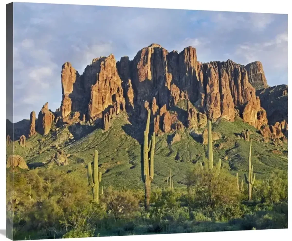 Saguaro cacti and Superstition Mountains, Lost Dutchman State Park, Arizona-Canvas Art-36x29.88