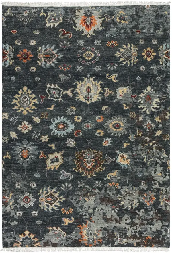 Envision ENV962 6' x 9' Rug