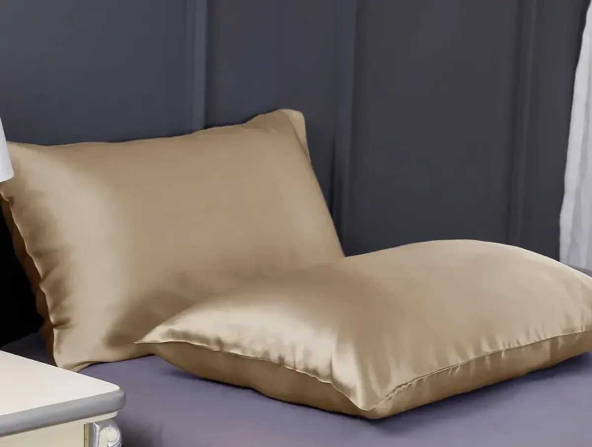 LilySilk 100% 19 Momme Pure Silk Pillowcase