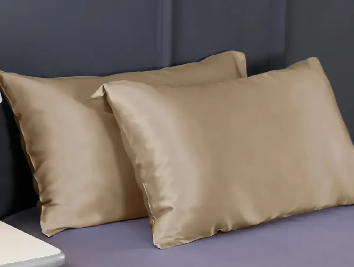 LilySilk 100% 19 Momme Pure Silk Pillowcase