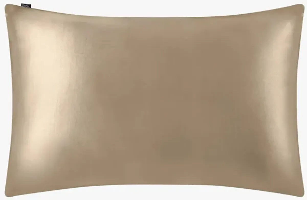 LilySilk 100% 19 Momme Pure Silk Pillowcase