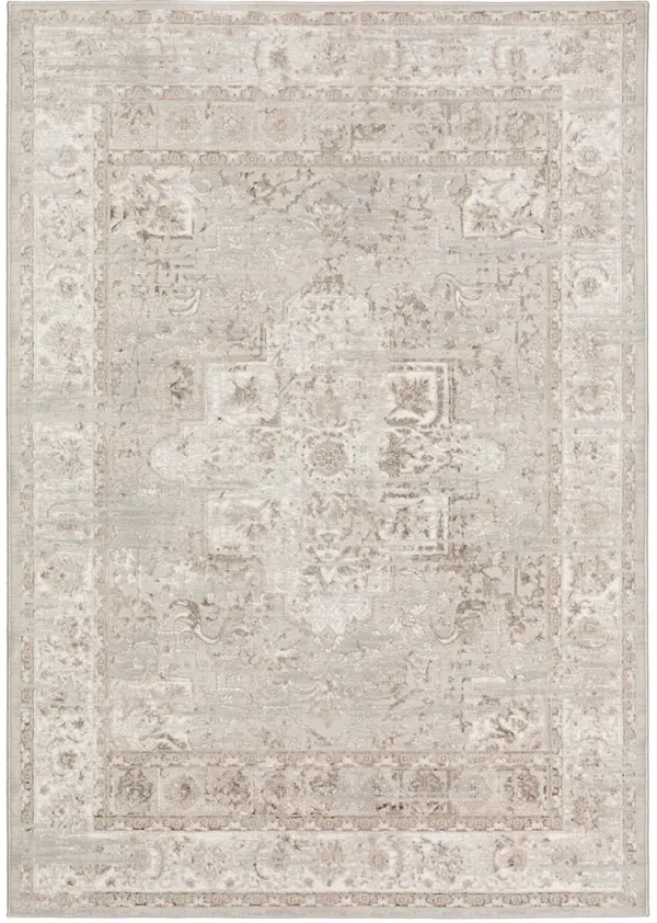 Rhodes RR6 Taupe 7'10" x 10' Rug
