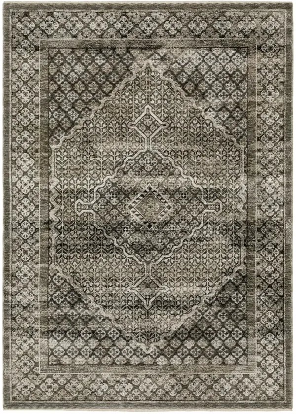 Chamberlain 3'3" x 5' Grey Rug