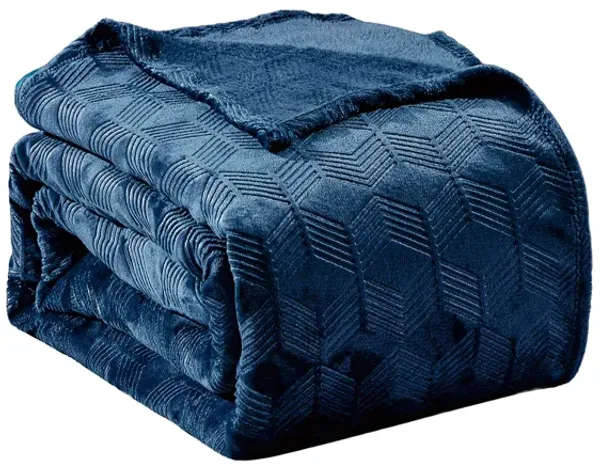 Amrani Bedcover Embossed Blanket, Soft Premium Microplush, Queen, Plum