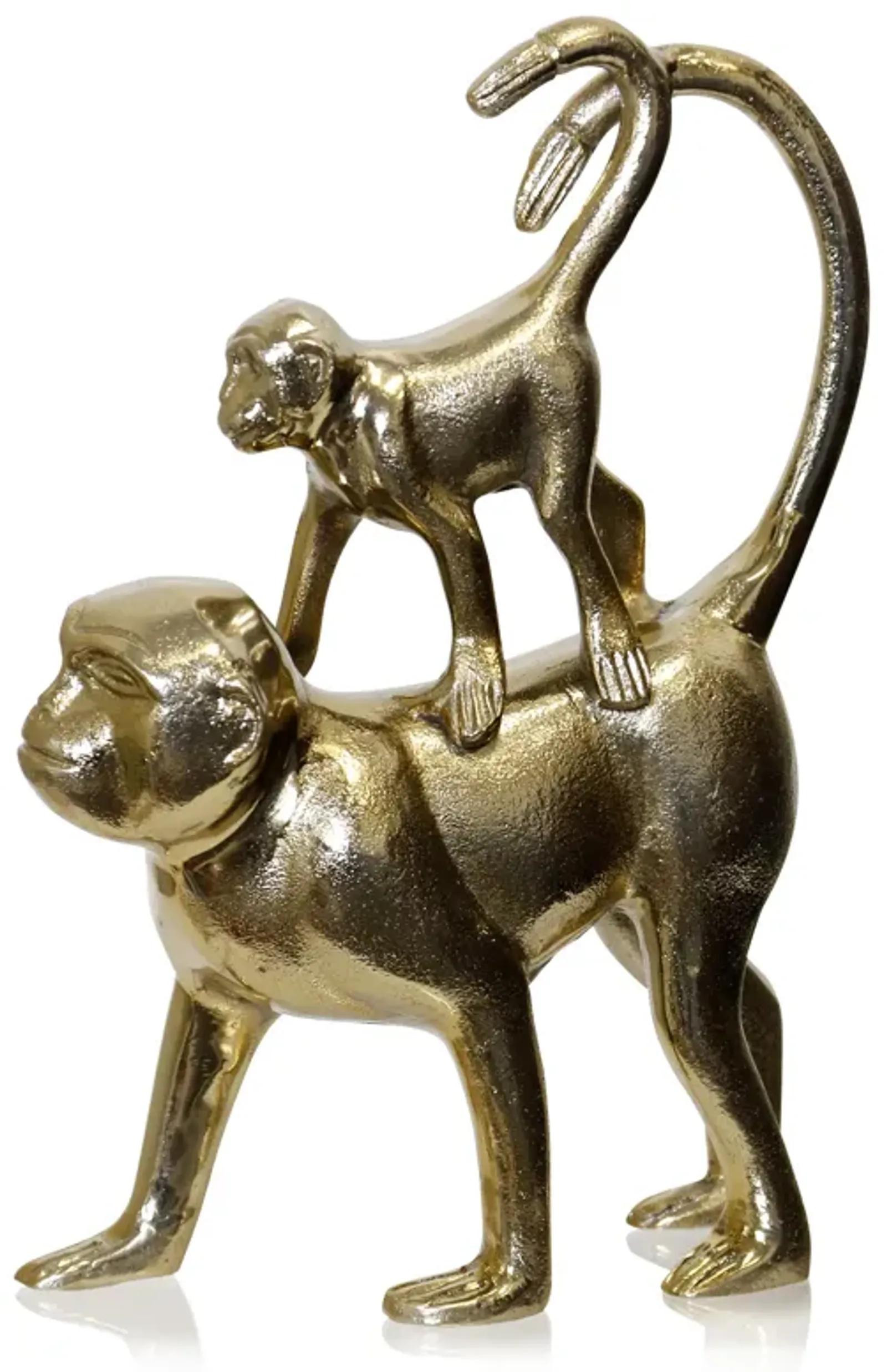 Gold Monkey with baby